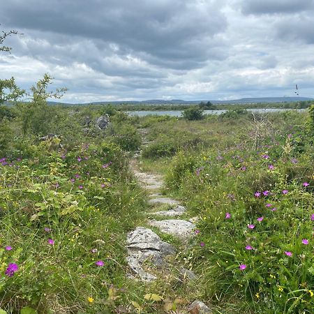 Villa Luxury Glamping Dome With Views Of The Burren à Boston Extérieur photo