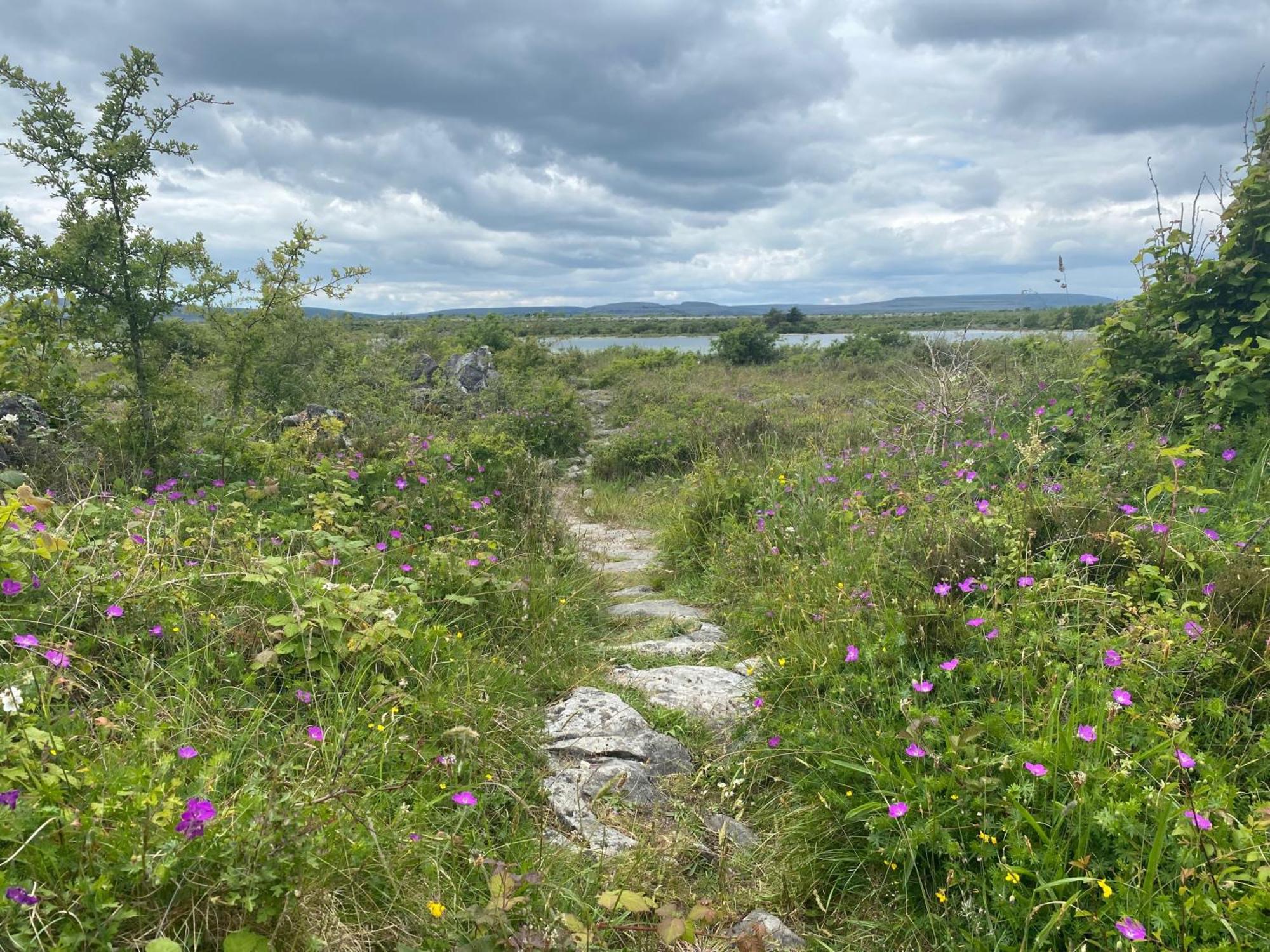 Villa Luxury Glamping Dome With Views Of The Burren à Boston Extérieur photo